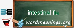 WordMeaning blackboard for intestinal flu